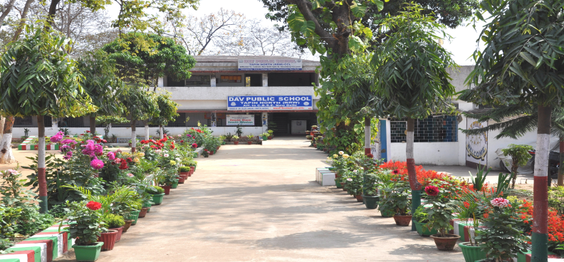 DAV Public School, Tapin North