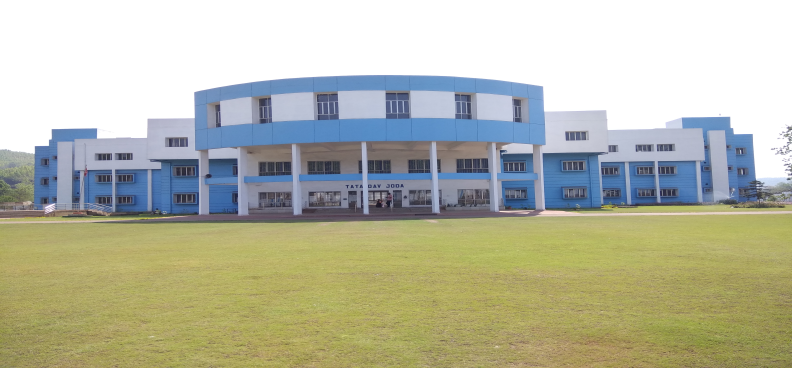TATA DAV PUBLIC SCHOOL, JODA