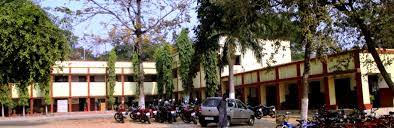 DAV Public School, Barora