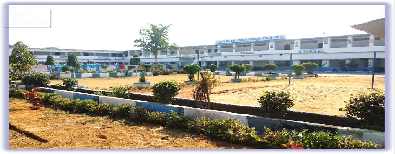 D.A.V. PUBLIC SCHOOL, TITILAGARH