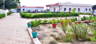 DAV PUBLIC SCHOOL, SRI VIJAYNAGAR