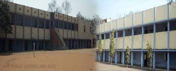 DAV PUBLIC SCHOOL, ARA (KUJU AREA), C.C.L.