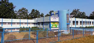 TATA DAV Public School, Noamundi